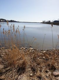 Scenic view of lake against clear sky