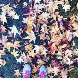 Low section of person standing on dry leaves