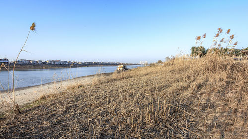 Scenic view of beach against clear sky