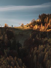 Scenic view of landscape against sky during autumn