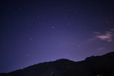 Low angle view of silhouette trees against sky at night