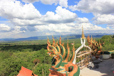 Cactus growing on field against sky