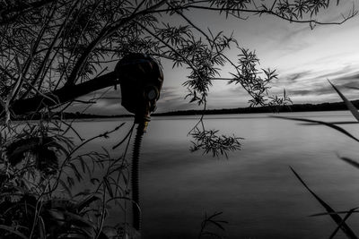 Gas mask hanging on tree at lakeshore