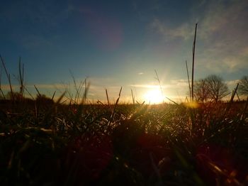 Silhouette grass on field against sky during sunset