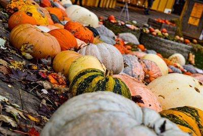 Close-up of pumpkins in market during autumn