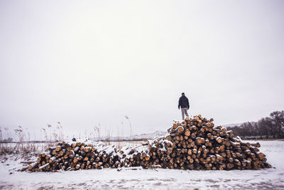 Man standing on snow covered logs against sky 