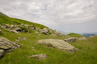 Scenic view of landscape against sky