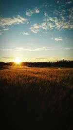 Scenic view of field against sky at sunset