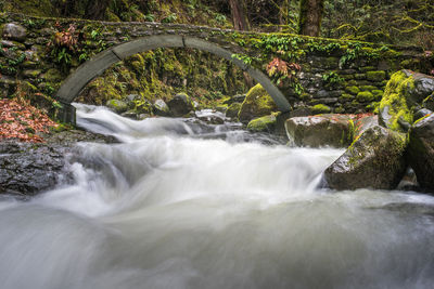 View of waterfall in forest