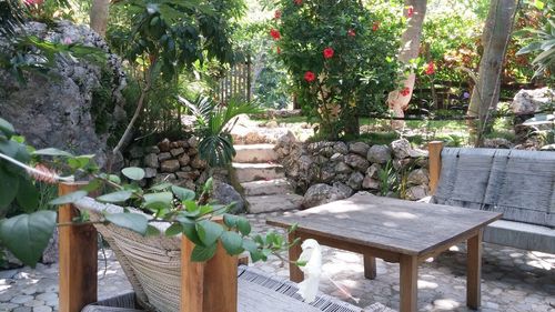 Potted plants on table in yard