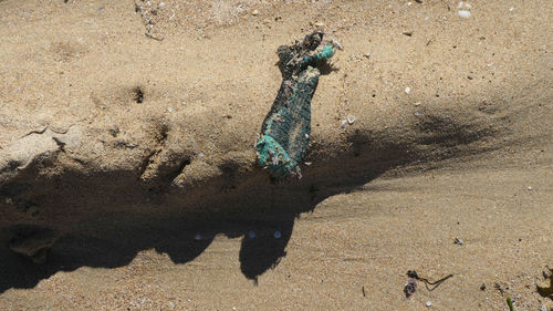 High angle view of shadow on sand at beach during sunny day