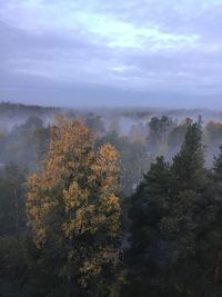 Scenic view of trees against sky