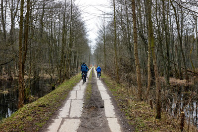 Rear view of people walking on footpath in forest