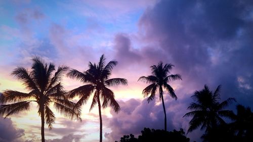 Silhouette of palm trees against cloudy sky