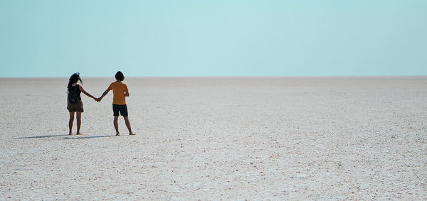 Rear view of friends on beach against clear sky