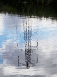 Reflection of tree in lake