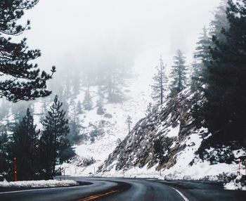 Road amidst trees against sky during winter