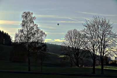 Low angle view of bare trees against sky