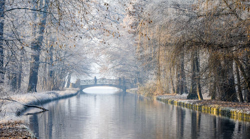 Scenic view of river in forest during winter