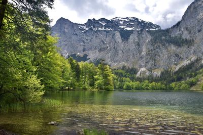 Scenic view of lake in forest against sky