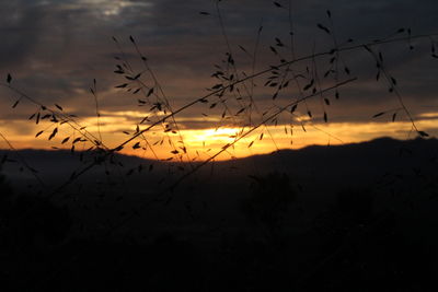 Scenic view of sunset