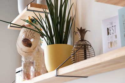 High angle view of potted plants on table at home