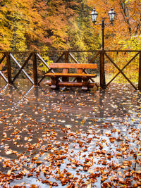 Autumn leaves on bridge