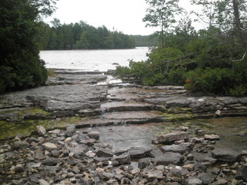 Scenic view of river in forest against sky