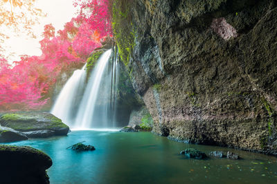 Scenic view of waterfall in forest