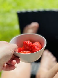 Midsection of person holding strawberries