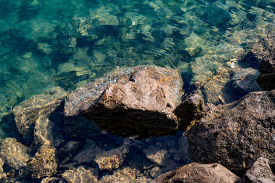 High angle view of rocks on shore