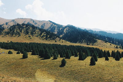 Scenic view of landscape against sky