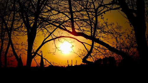 Silhouette trees against sky during sunset