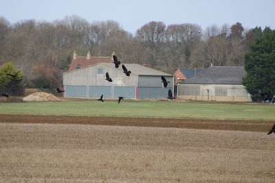 People on field by house against sky