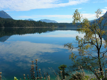 Scenic view of lake by trees against sky