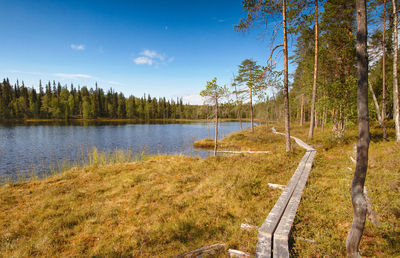 Scenic view of lake in forest against sky