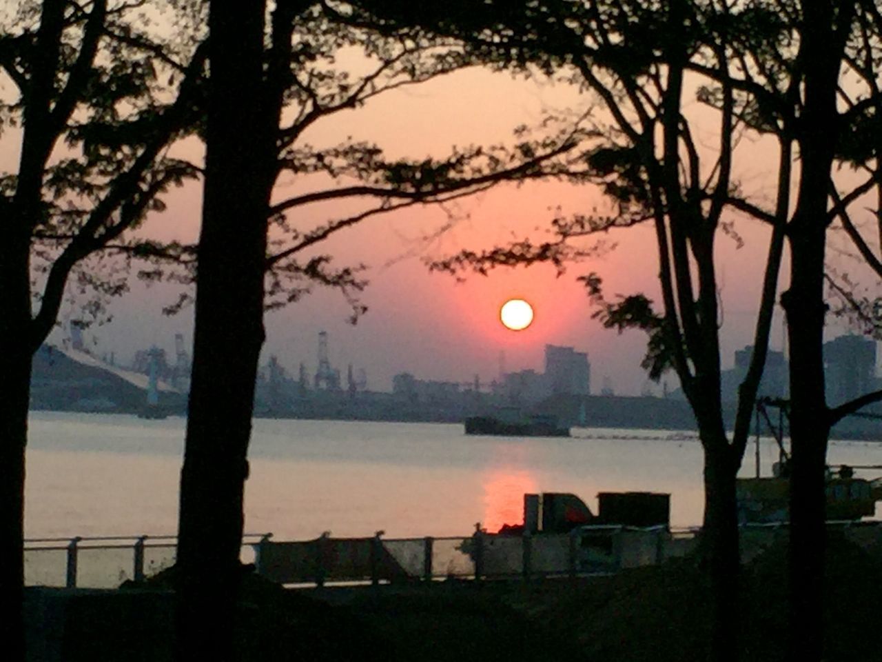 tree, sunset, sun, water, nature, silhouette, no people, scenics, sky, beauty in nature, built structure, tranquil scene, outdoors, travel destinations, architecture, building exterior, sea, branch, city, day