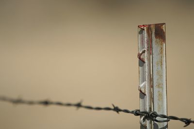 Close up of closed door