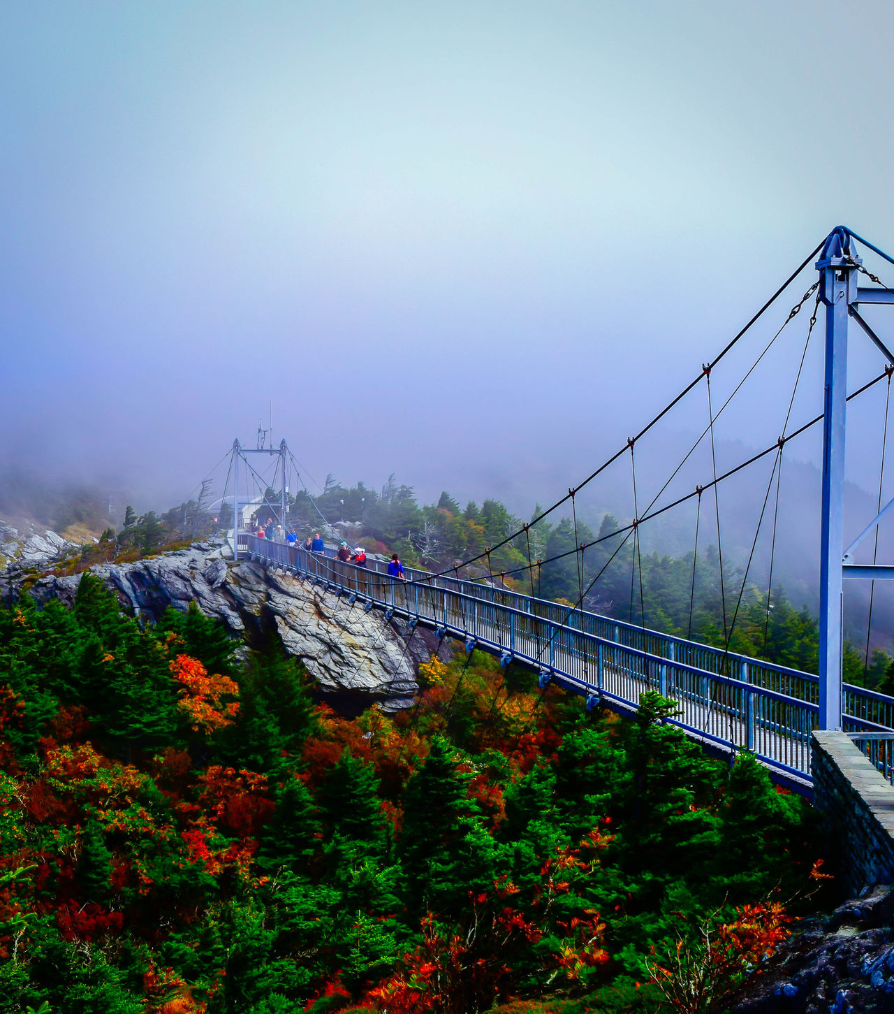 Cable-stayed bridge