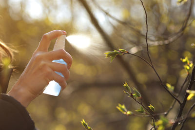 Copped image of woman spraying hand sanitizer on plant