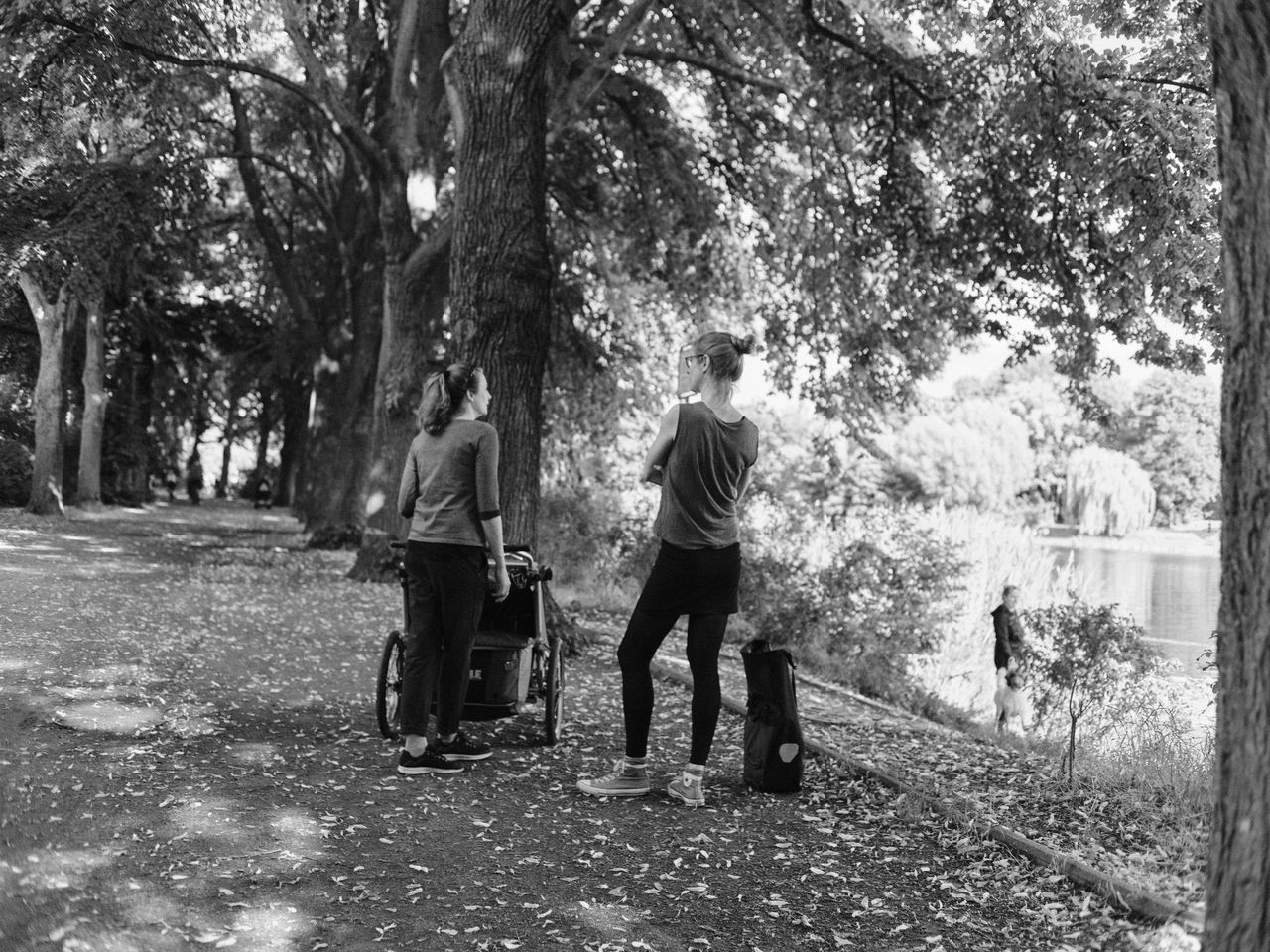 tree, plant, full length, men, rear view, black and white, nature, lifestyles, day, leisure activity, tree trunk, adult, trunk, women, togetherness, growth, monochrome photography, walking, monochrome, casual clothing, two people, outdoors, park, land, person, bonding, clothing, footwear, forest, park - man made space, standing, woodland, footpath, friendship