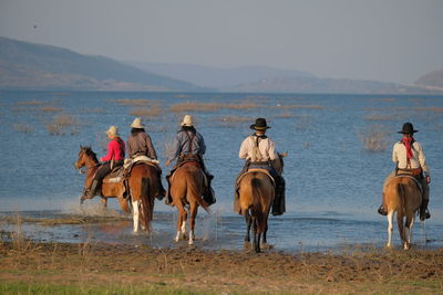 View of horses riding horse