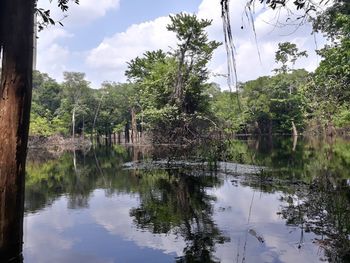 Scenic view of lake in forest against sky