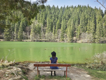 Rear view of woman sitting on bench against river