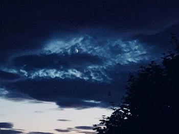 Low angle view of silhouette trees against sky at night