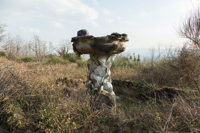 Old ruin on field against sky