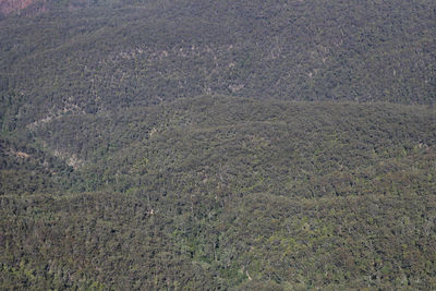 High angle view of land