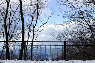 Snow covered landscape