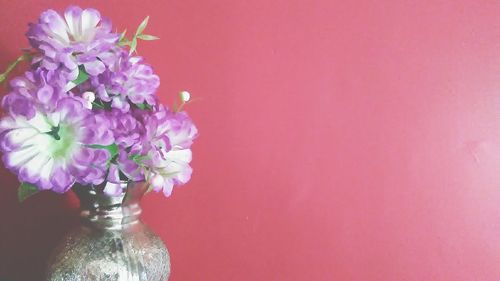 Close-up of flowers in vase