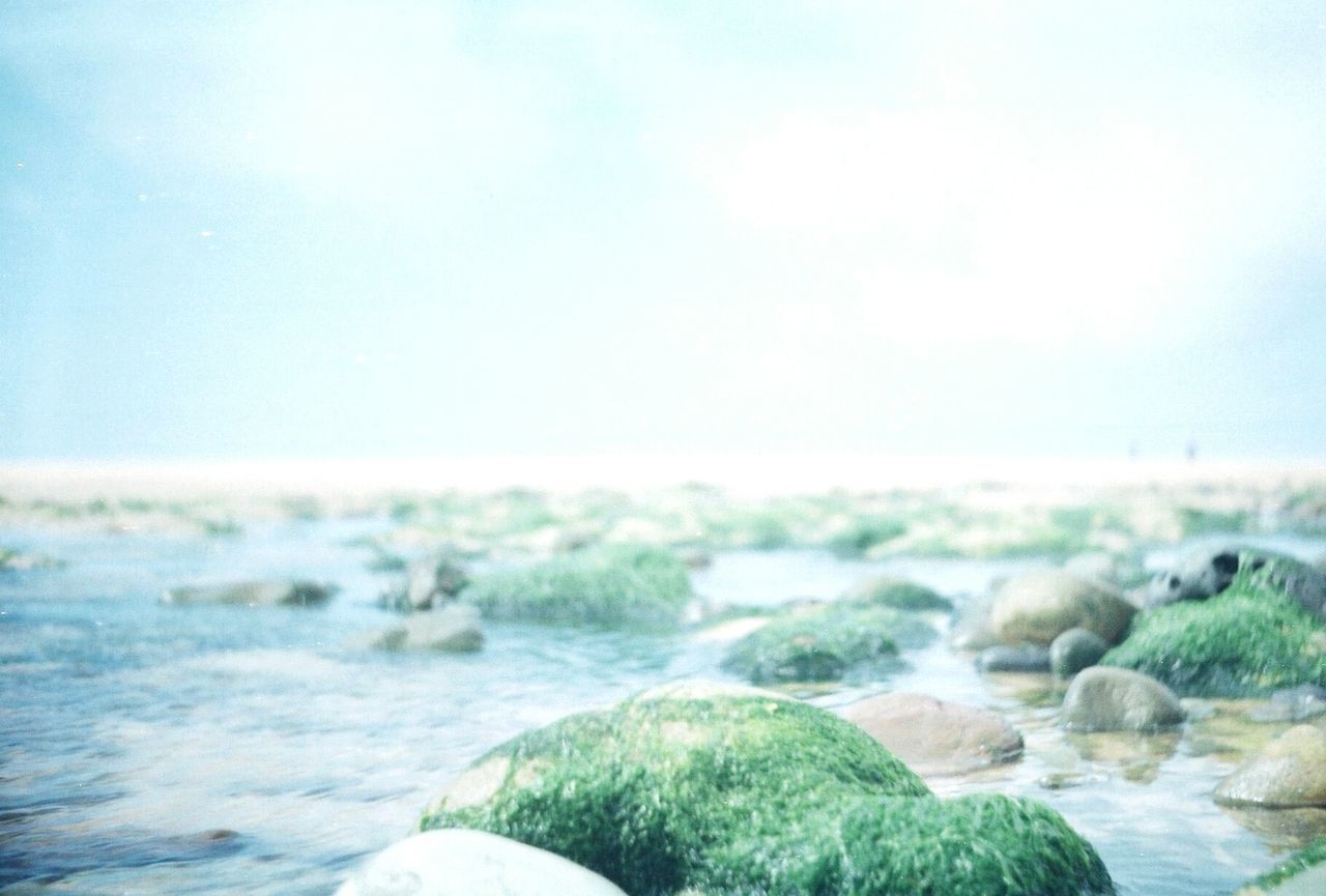 SCENIC VIEW OF ROCKY BEACH AGAINST SKY